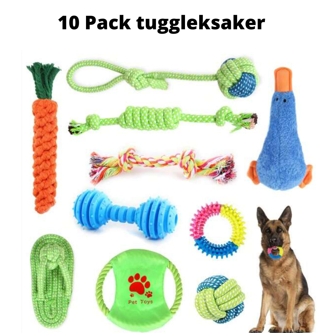 Hållbar Kampleksak för Hund – Tandvård & Rolig Lek i 10-pack