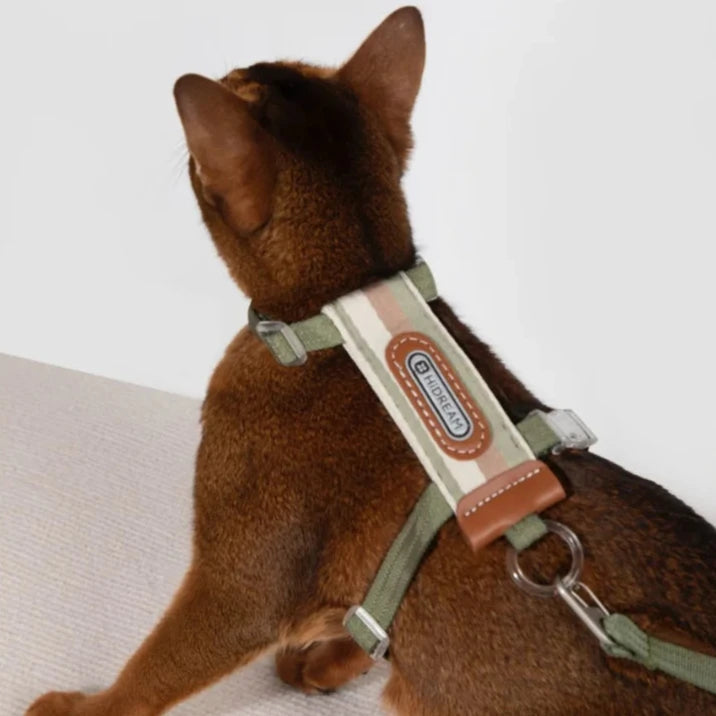 Rymningssäker Kattsele med Justerbara Remmar och Reflexer, One Size - Upp till 8 kg