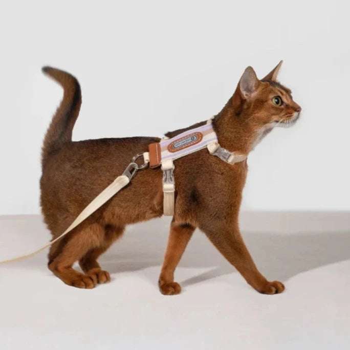 Rymningssäker Kattsele med Justerbara Remmar och Reflexer, One Size - Upp till 8 kg