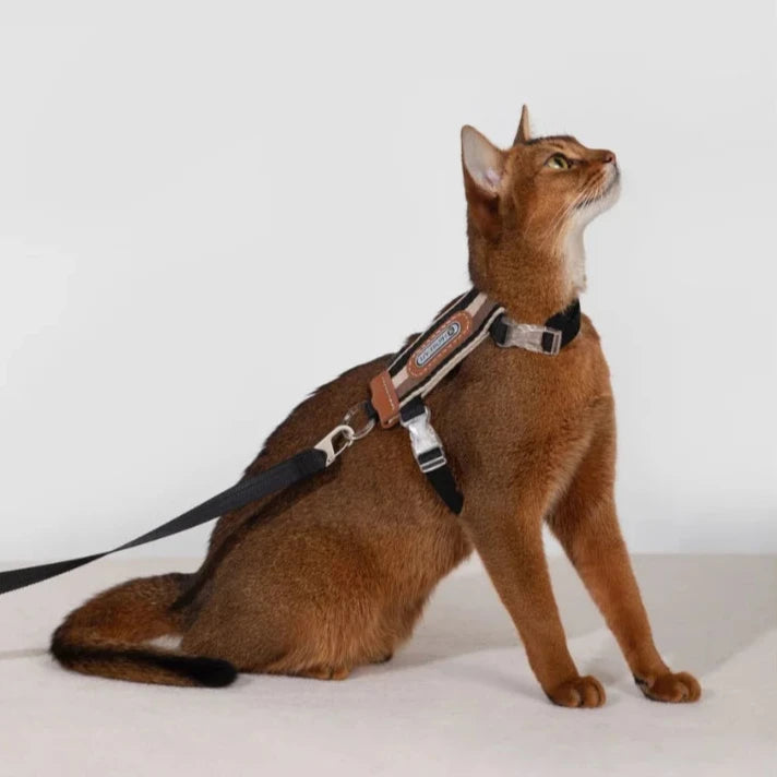 Rymningssäker Kattsele med Justerbara Remmar och Reflexer, One Size - Upp till 8 kg