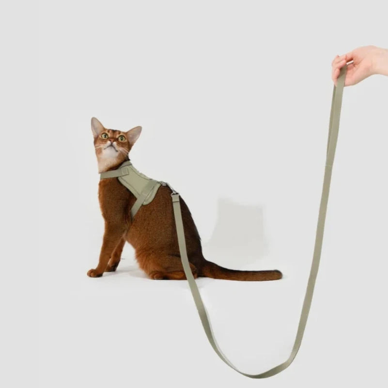 Kattsele med Justerbar Passform och GPS-fack, One Size