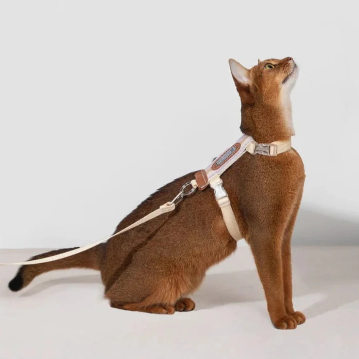 Rymningssäker Kattsele med Justerbara Remmar och Reflexer, One Size - Upp till 8 kg