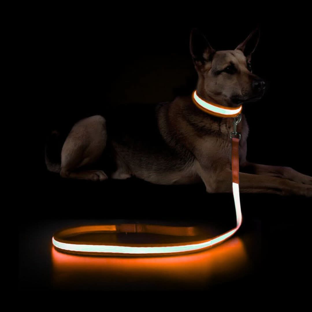 Uppladdningsbart LED-koppel – säker promenad i mörker, 1.2M