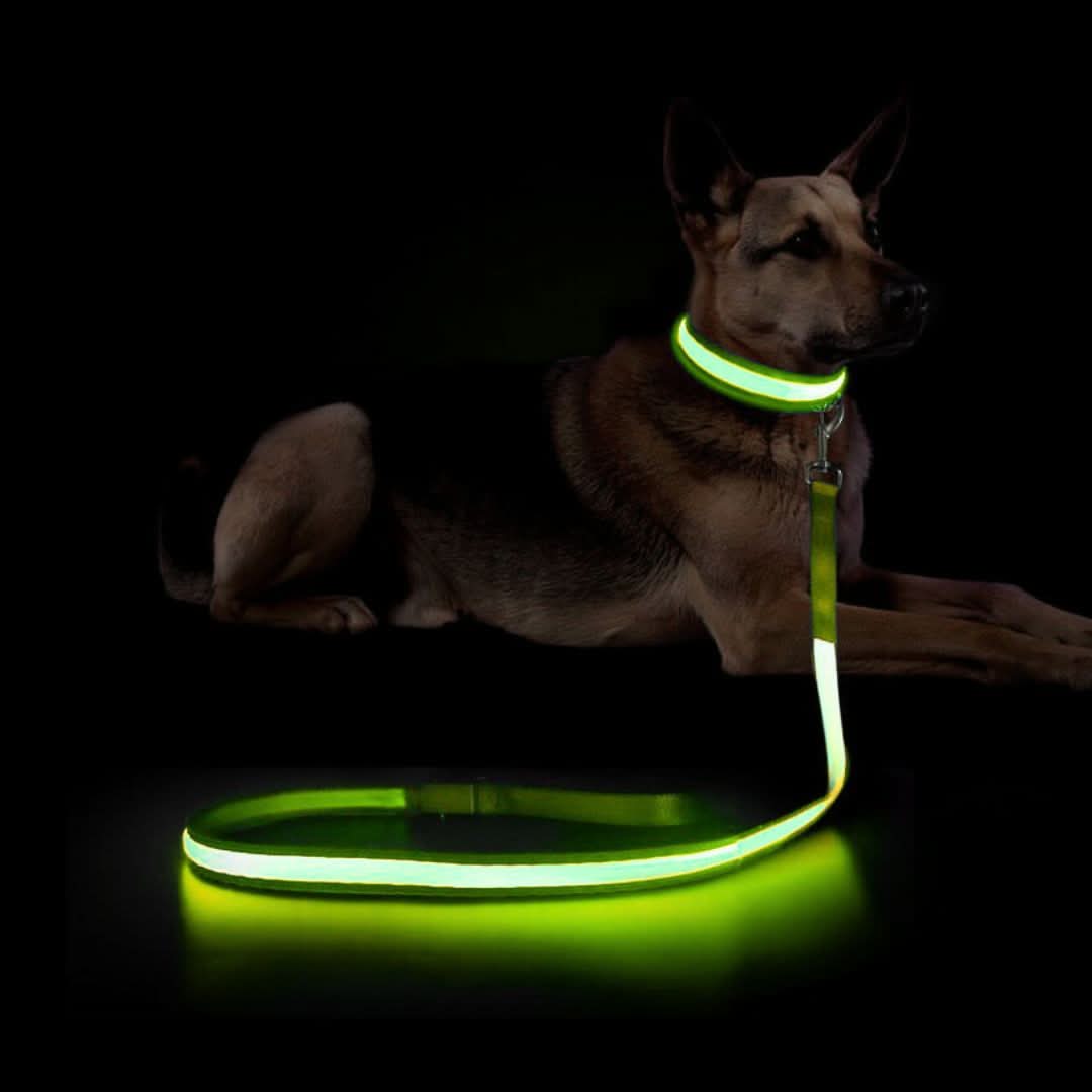 Uppladdningsbart LED-koppel – säker promenad i mörker, 1.2M