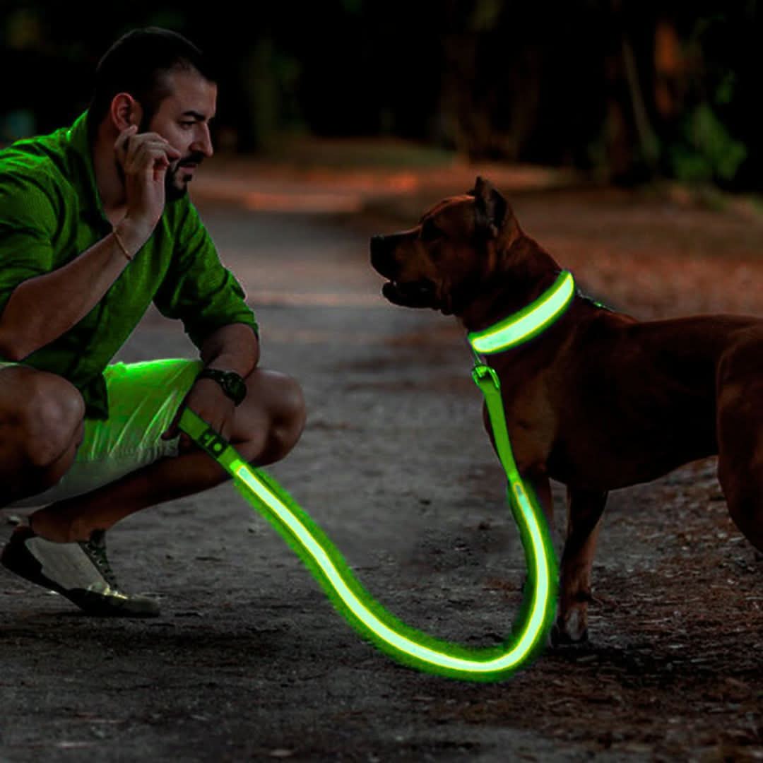 Uppladdningsbart LED-koppel – säker promenad i mörker, 1.2M