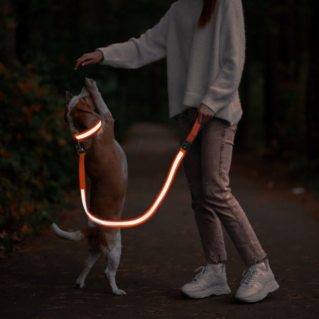 Uppladdningsbart LED-koppel – säker promenad i mörker, 1.2M