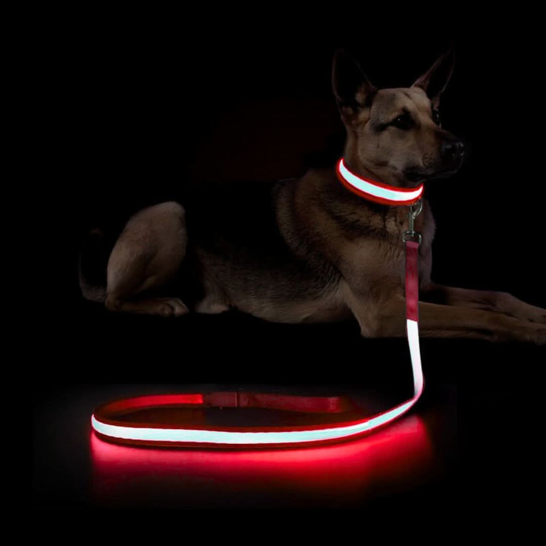 Uppladdningsbart LED-koppel – säker promenad i mörker, 1.2M