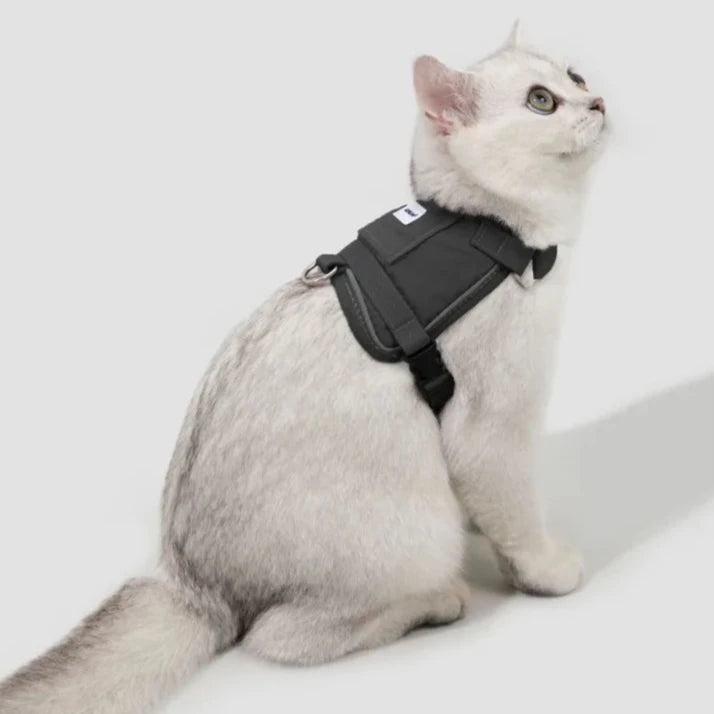 Kattsele med Justerbar Passform och GPS-fack, One Size