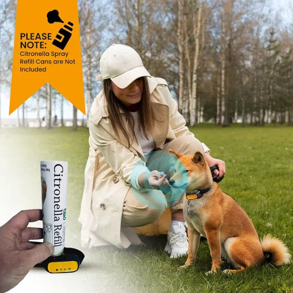 2 i 1 Citronella Antiskällhalsband – Skonsam och effektiv träning för din hund