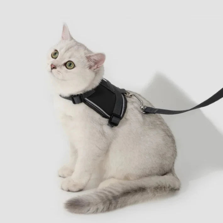 Kattsele med Justerbar Passform och GPS-fack, One Size