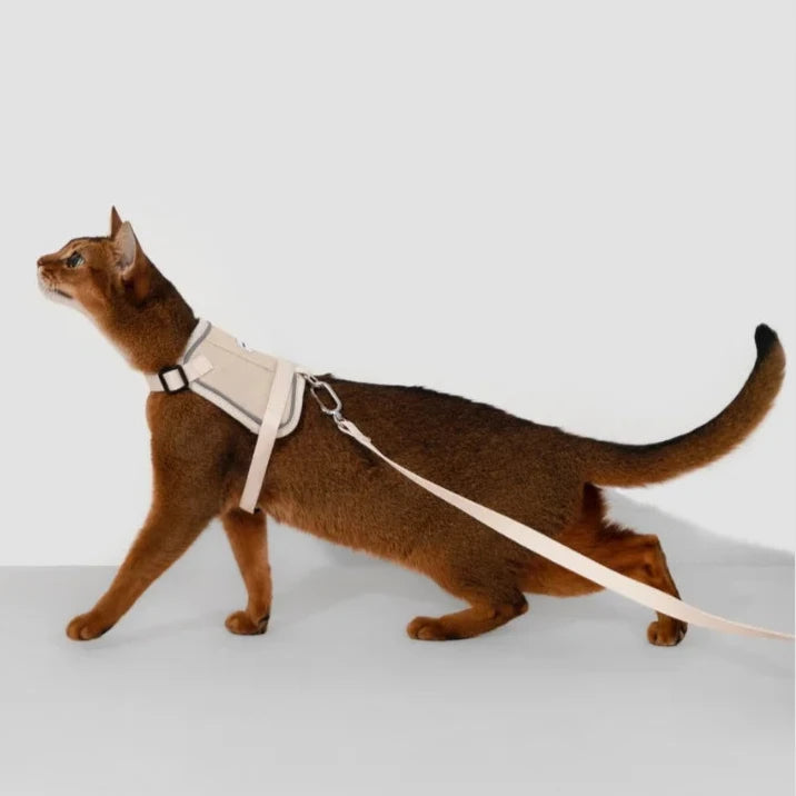 Kattsele med Justerbar Passform och GPS-fack, One Size
