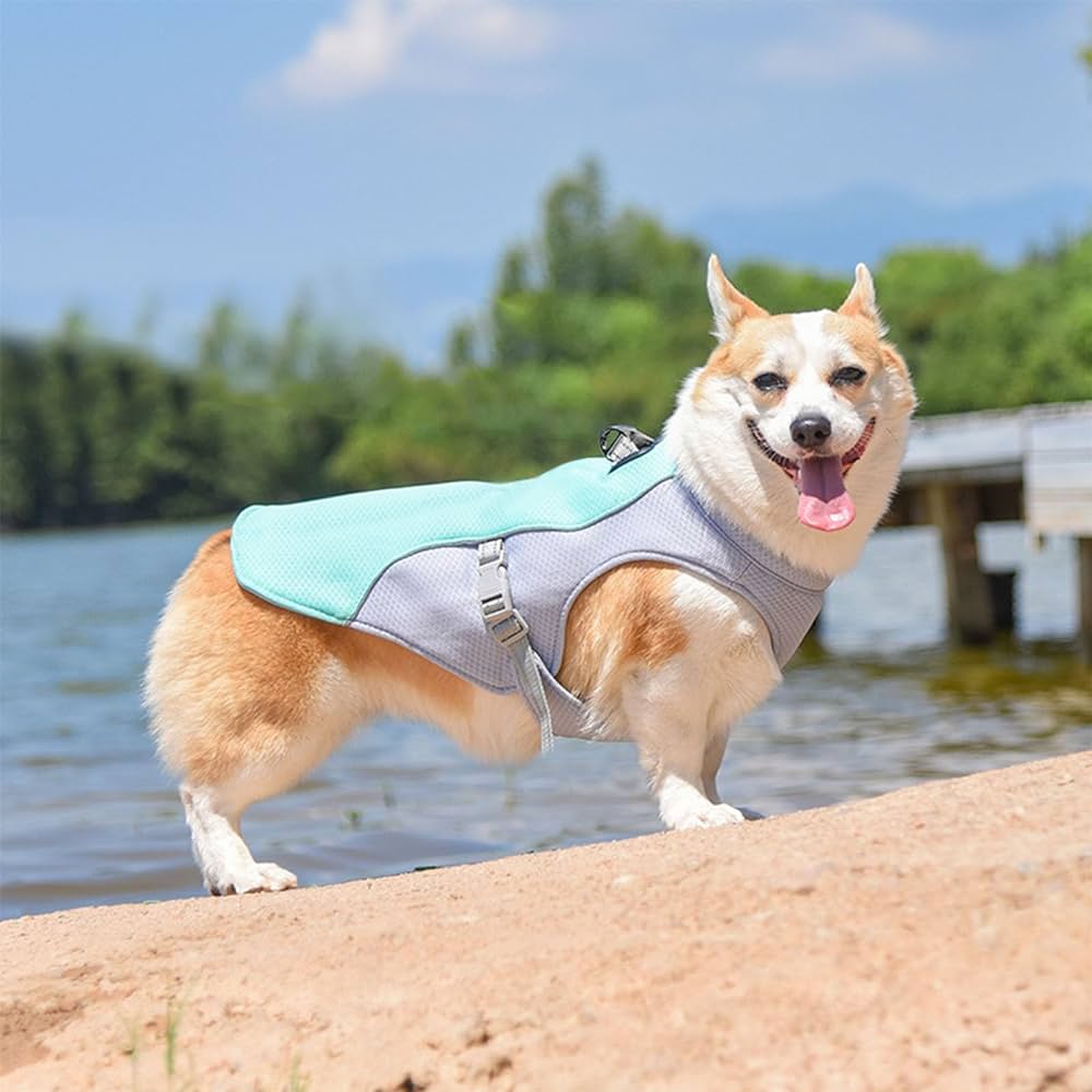 Kylväst för Hund – Justerbar, Reflekterande & Effektiv Kyla vid Värme