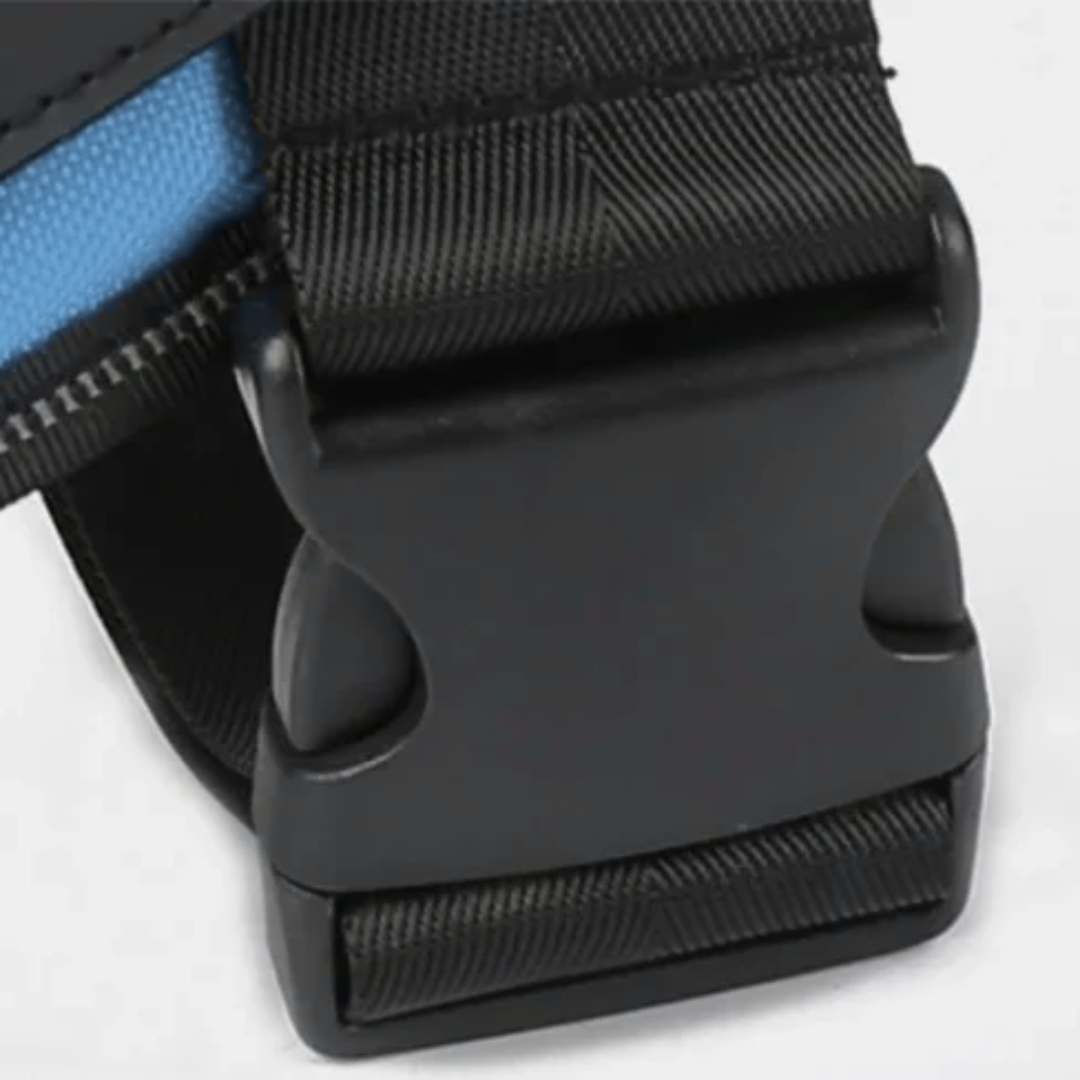 Hundsele i Läder – Justerbar & Reflekterande för Säker Promenad