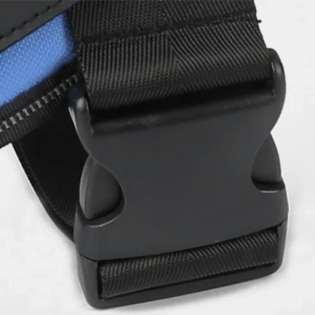 Hundsele i Läder – Justerbar & Reflekterande för Säker Promenad