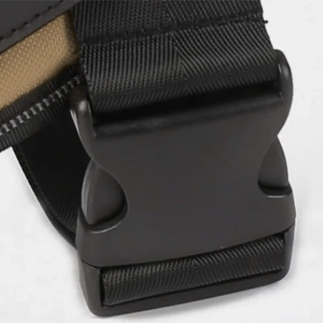 Hundsele i Läder – Justerbar & Reflekterande för Säker Promenad