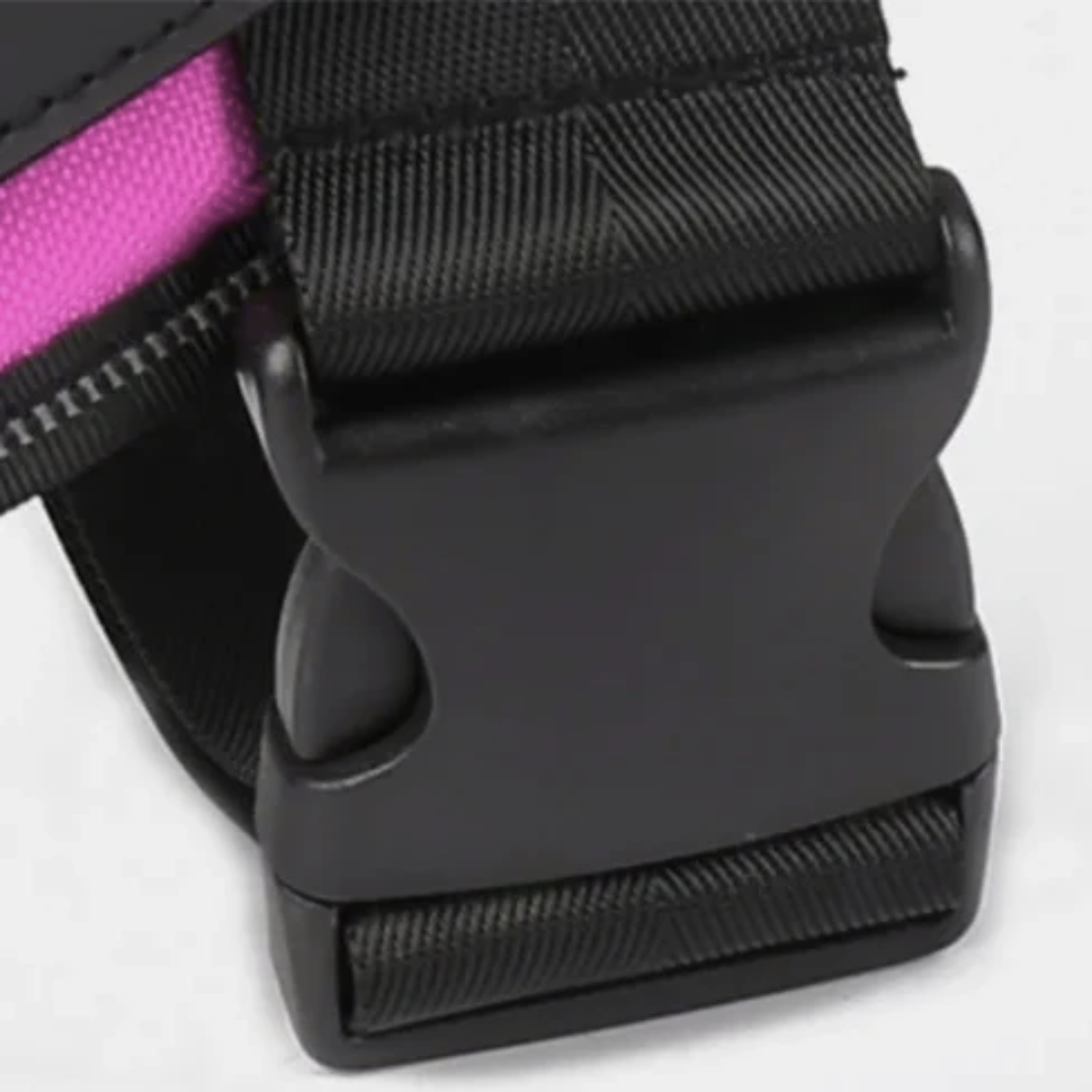 Hundsele i Läder – Justerbar & Reflekterande för Säker Promenad