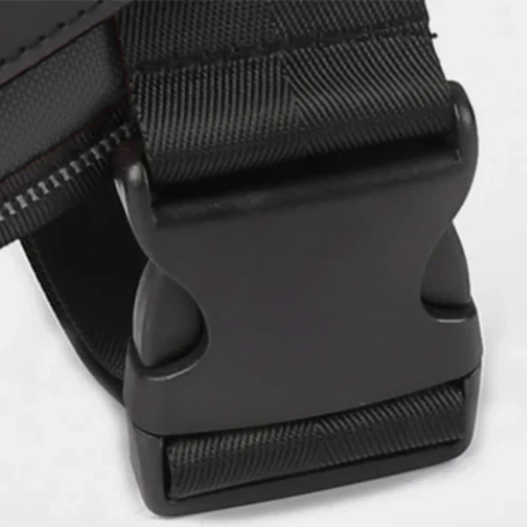 Hundsele i Läder – Justerbar & Reflekterande för Säker Promenad