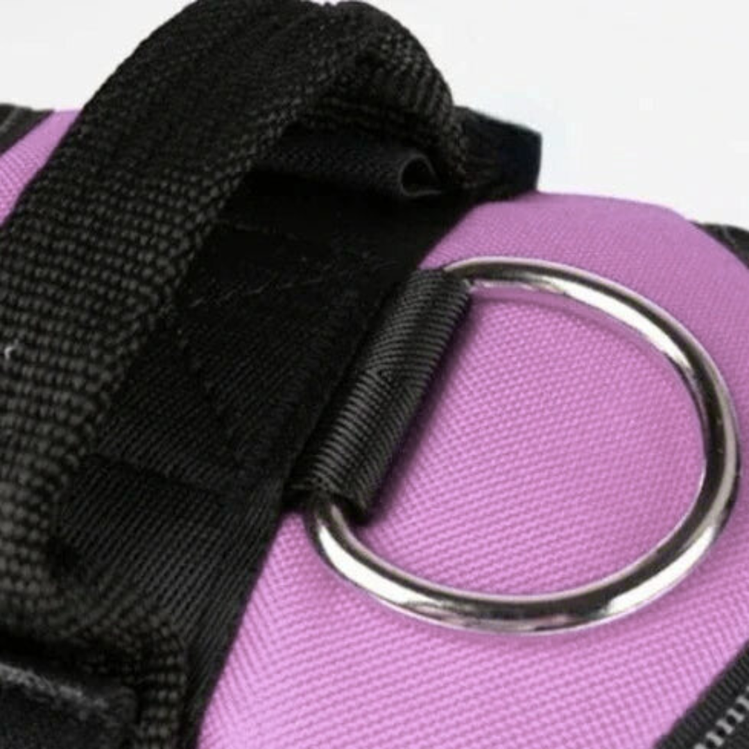 Hundsele i Läder – Justerbar & Reflekterande för Säker Promenad