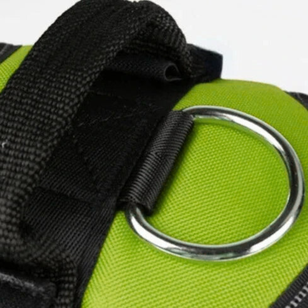 Hundsele i Läder – Justerbar & Reflekterande för Säker Promenad