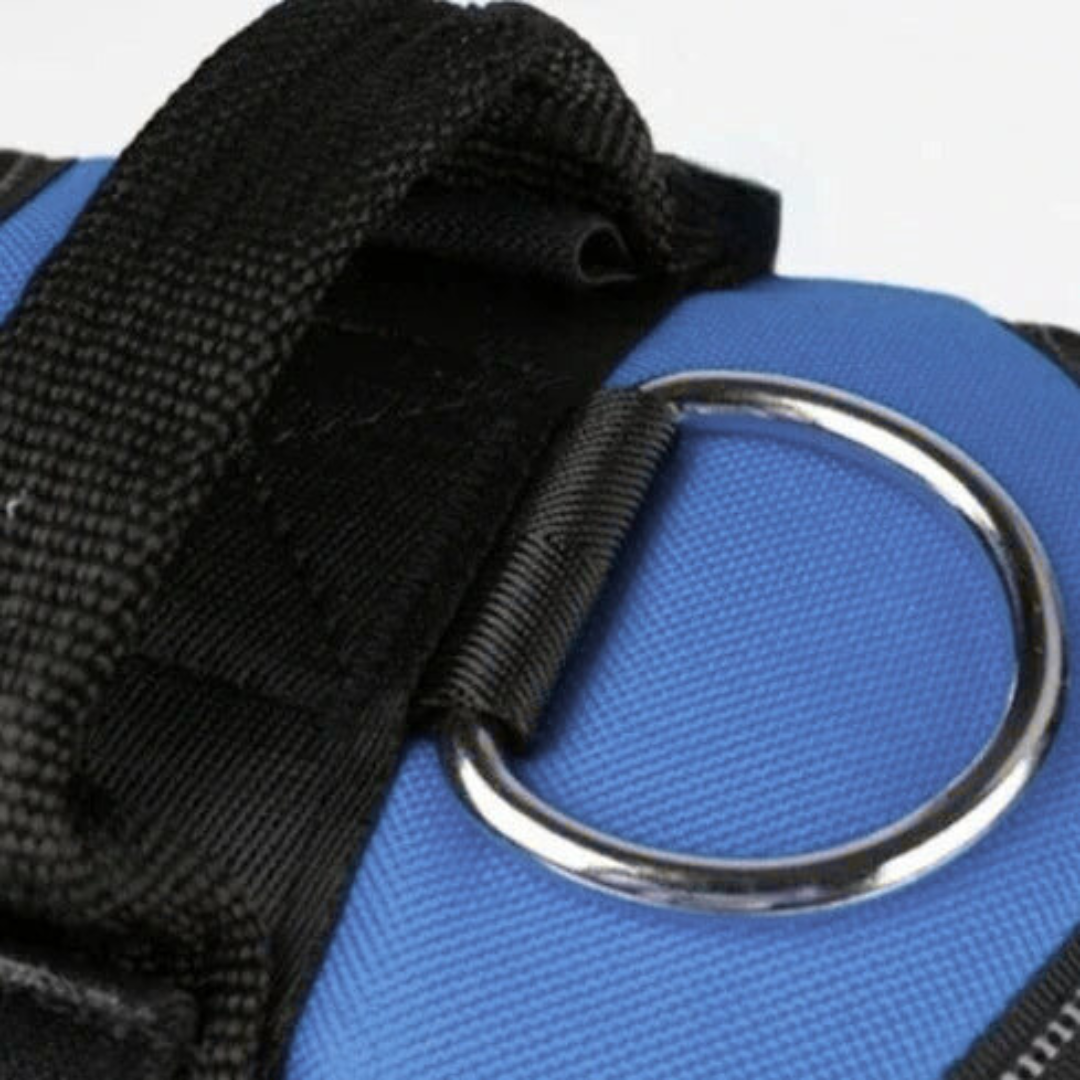 Hundsele i Läder – Justerbar & Reflekterande för Säker Promenad