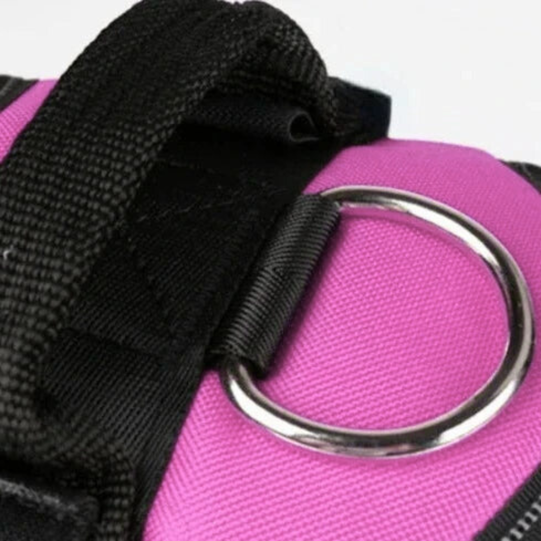 Hundsele i Läder – Justerbar & Reflekterande för Säker Promenad