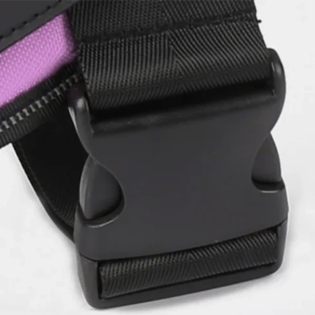 Hundsele i Läder – Justerbar & Reflekterande för Säker Promenad