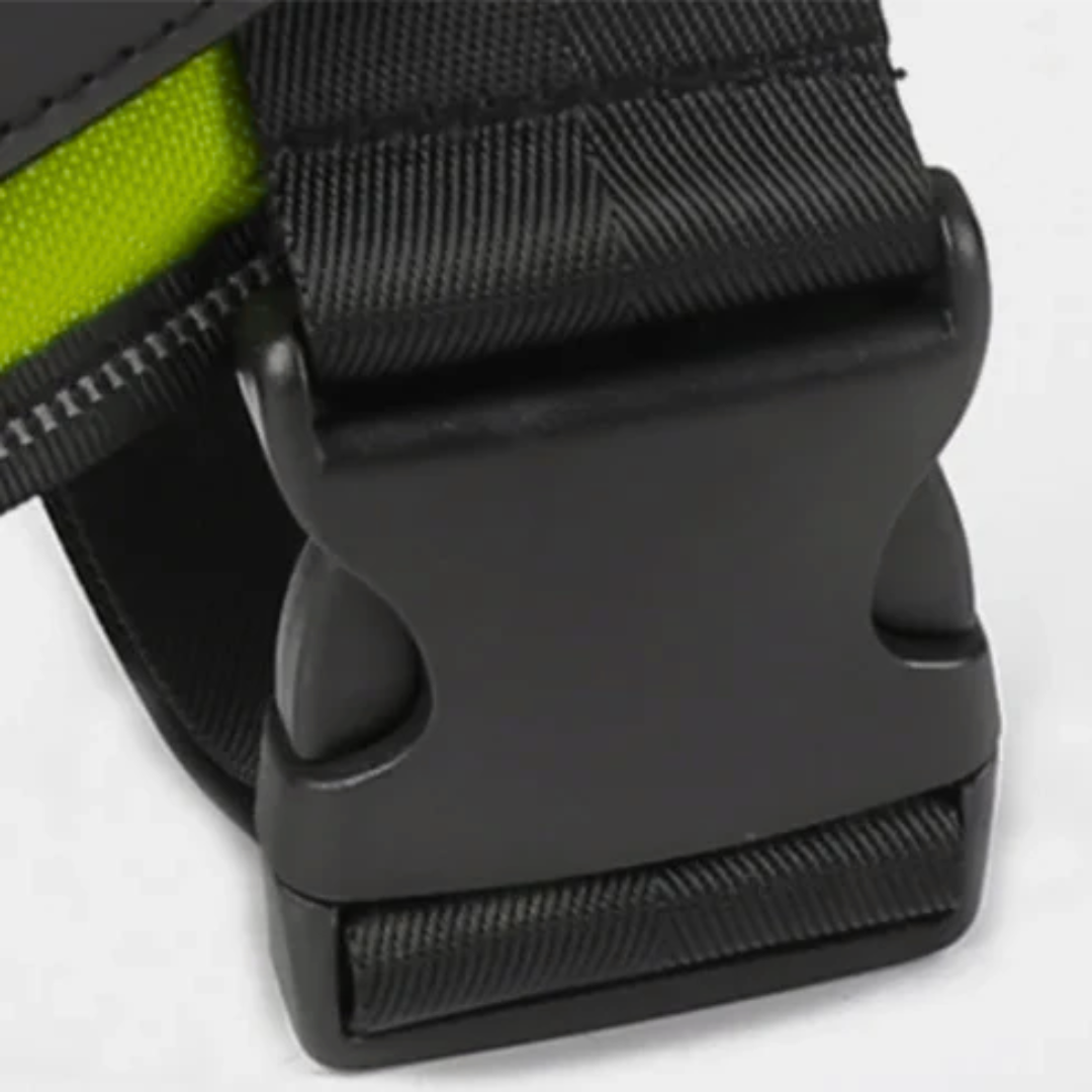 Hundsele i Läder – Justerbar & Reflekterande för Säker Promenad