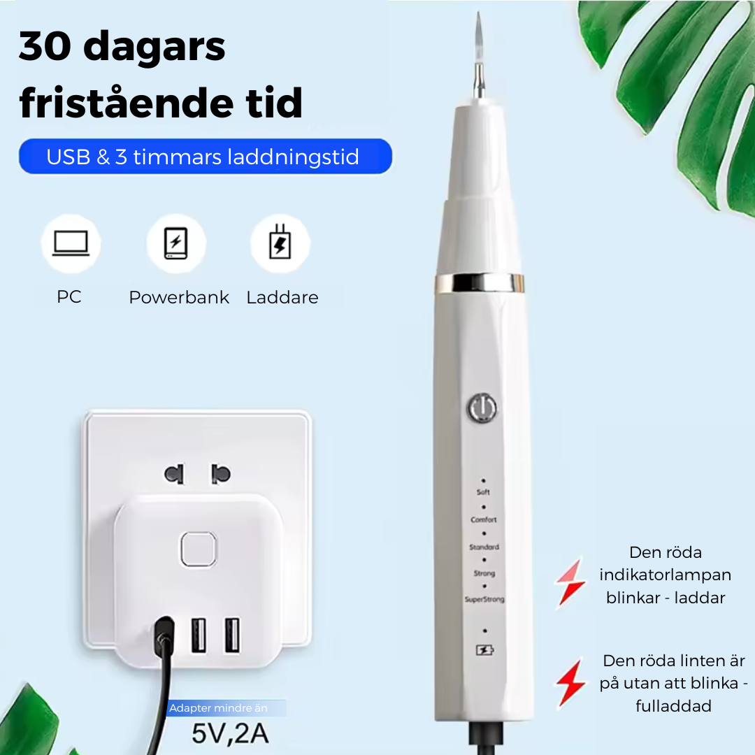 Elektrisk Tandrengörare för Hund – 5 Nivåer & USB-laddning