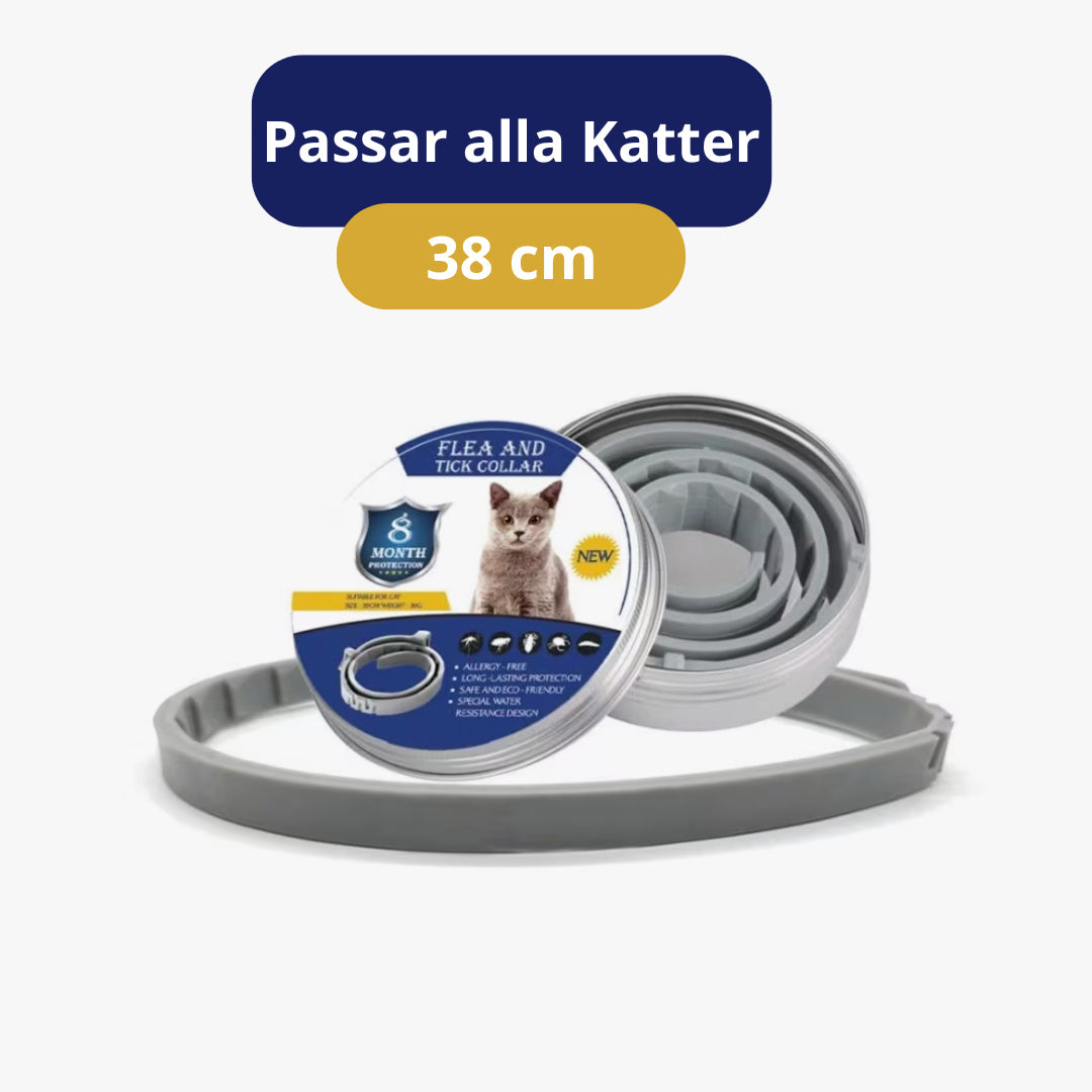 Fästinghalsband för Hund och Katt – Miljövänligt & Effektivt Skydd