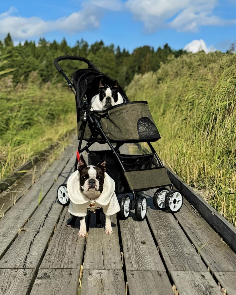 Hopfällbar husdjursvagn med förvaring – bekväm transport
