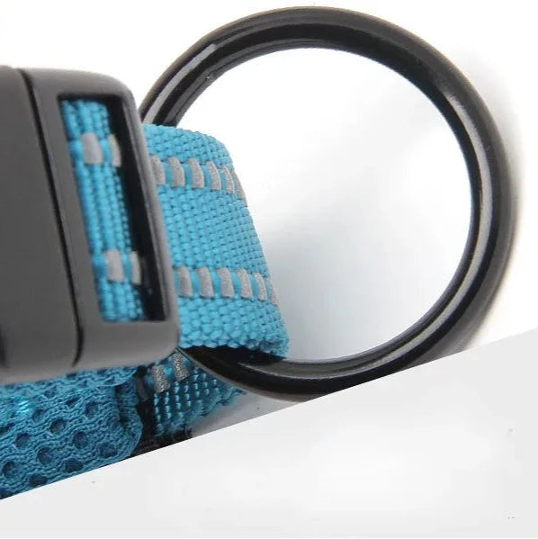Justerbart Hundhalsband med Reflex – Bekvämt och Säkert för Alla Raser