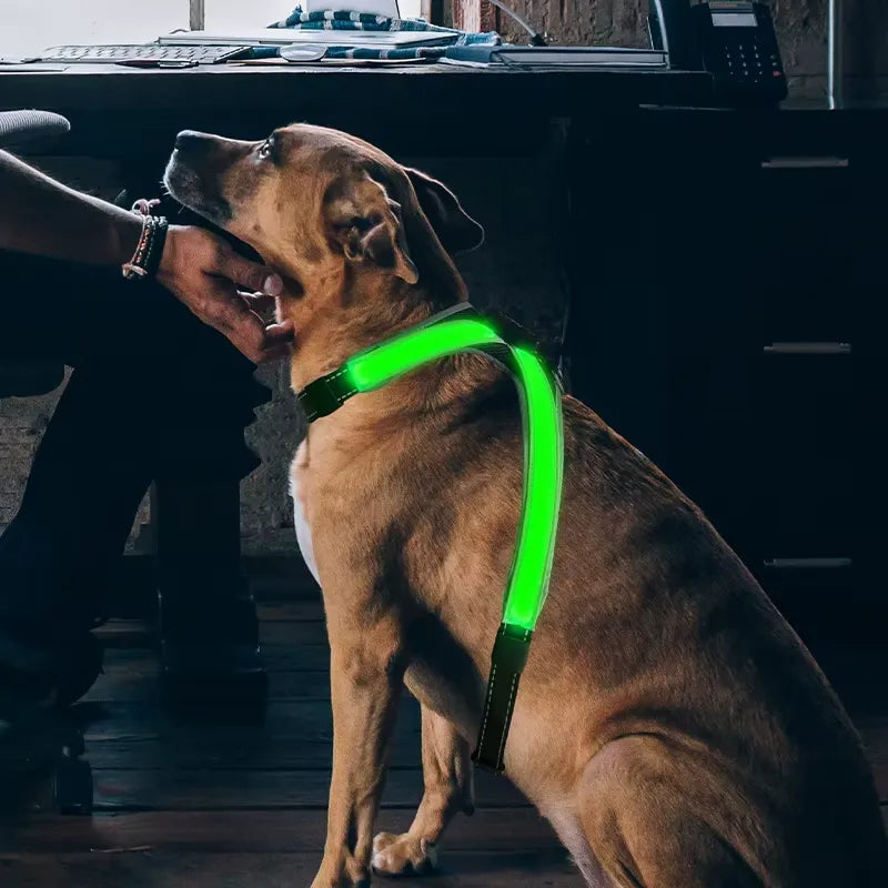 LED Hundsele med Reflexer - Justerbar & Ladddningsbar, One Size