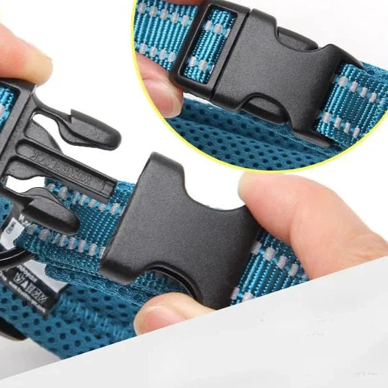 Justerbart Hundhalsband med Reflex – Bekvämt och Säkert för Alla Raser