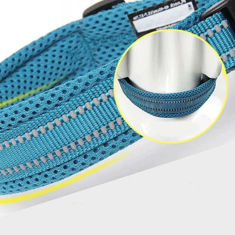 Justerbart Hundhalsband med Reflex – Bekvämt och Säkert för Alla Raser