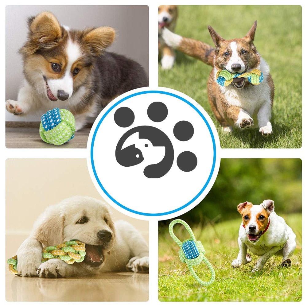 Hållbar Kampleksak för Hund – Tandvård & Rolig Lek i 10-pack
