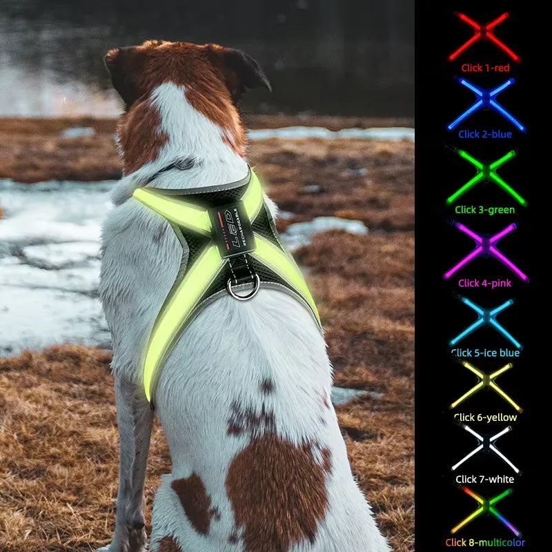 LED Hundsele med Reflexer - Justerbar & Ladddningsbar, One Size