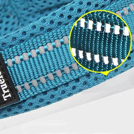 Justerbart Hundhalsband med Reflex – Bekvämt och Säkert för Alla Raser