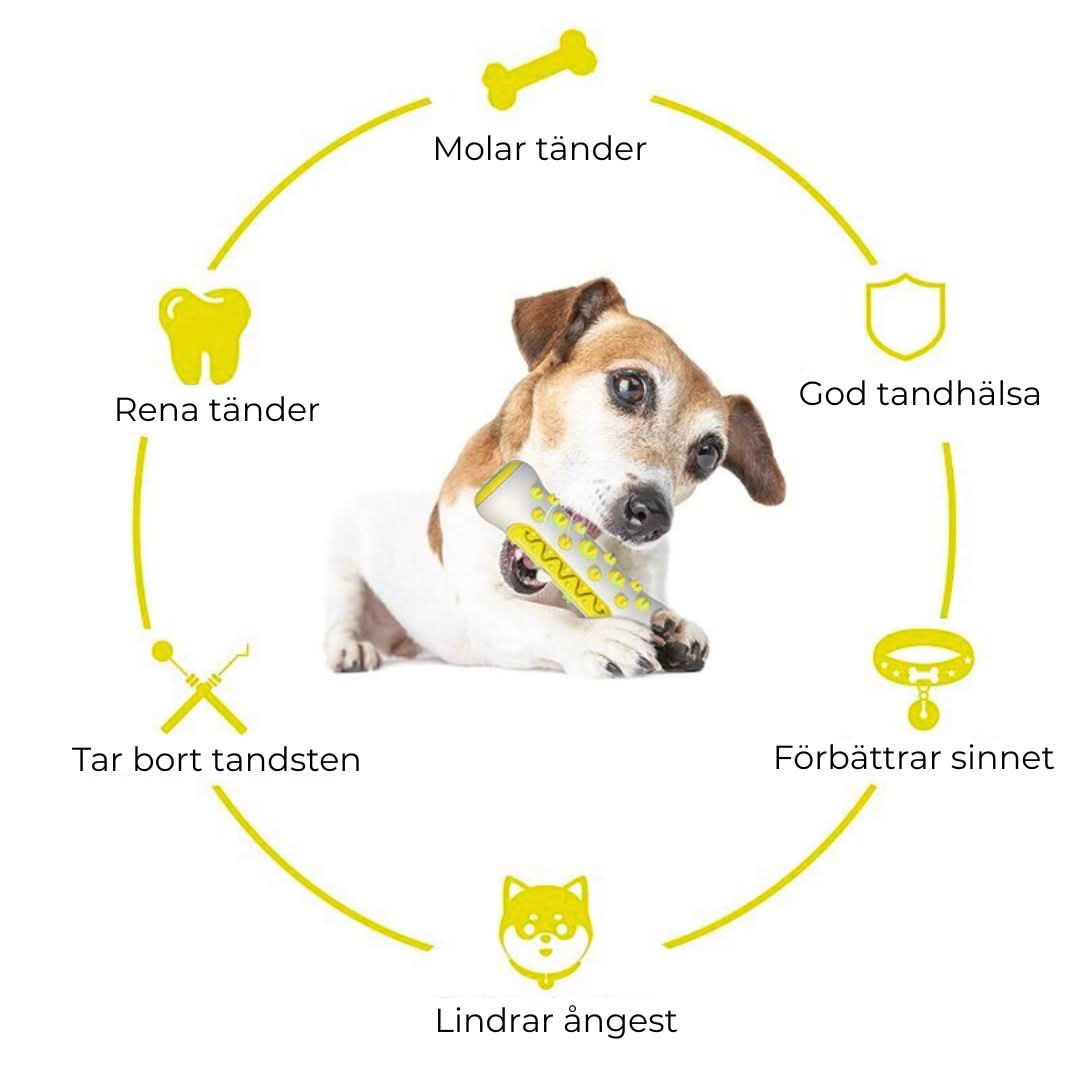 Stimulerande hundleksak i gummi – lekfull tandvård för din bästa vän