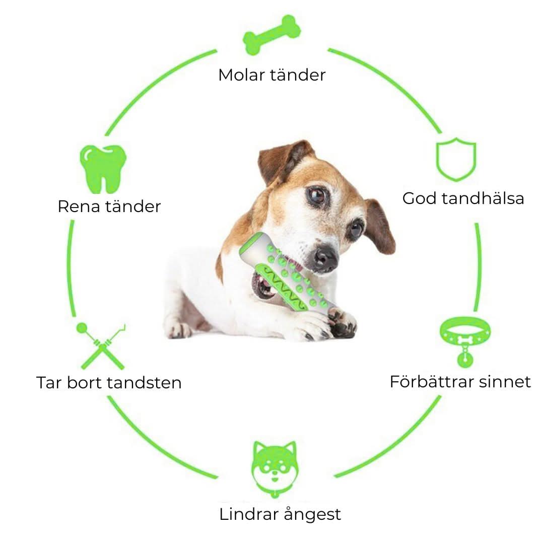 Stimulerande hundleksak i gummi – lekfull tandvård för din bästa vän
