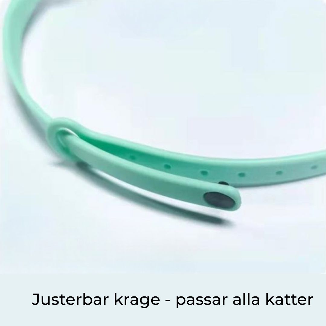 Laserhalsband för Katt – Justerbart & Uppladdningsbart för Lek och Jakt