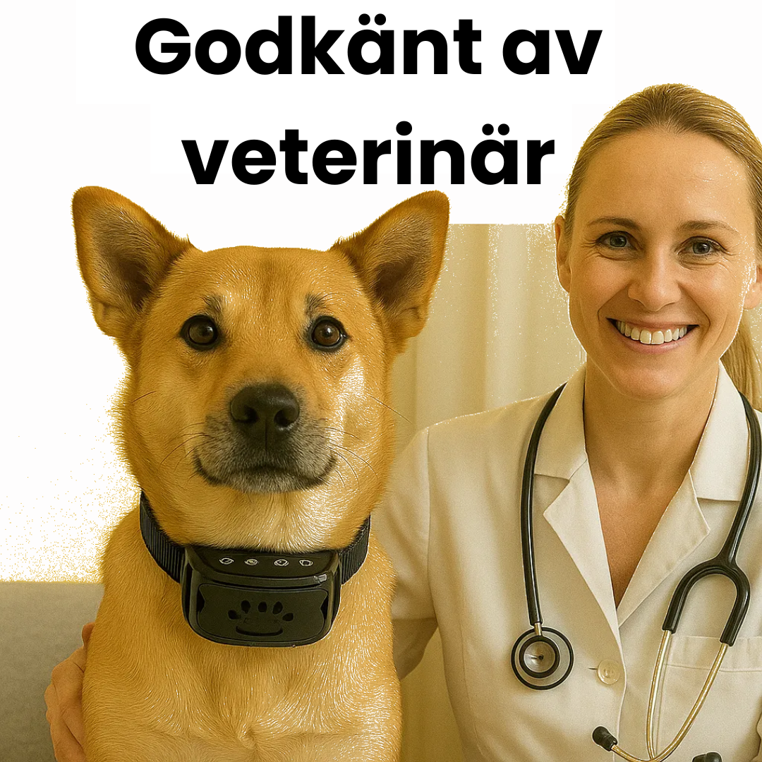 Antiskällhalsband med Vibrationskontroll – Effektiv och Skonsam Ljuddämpning