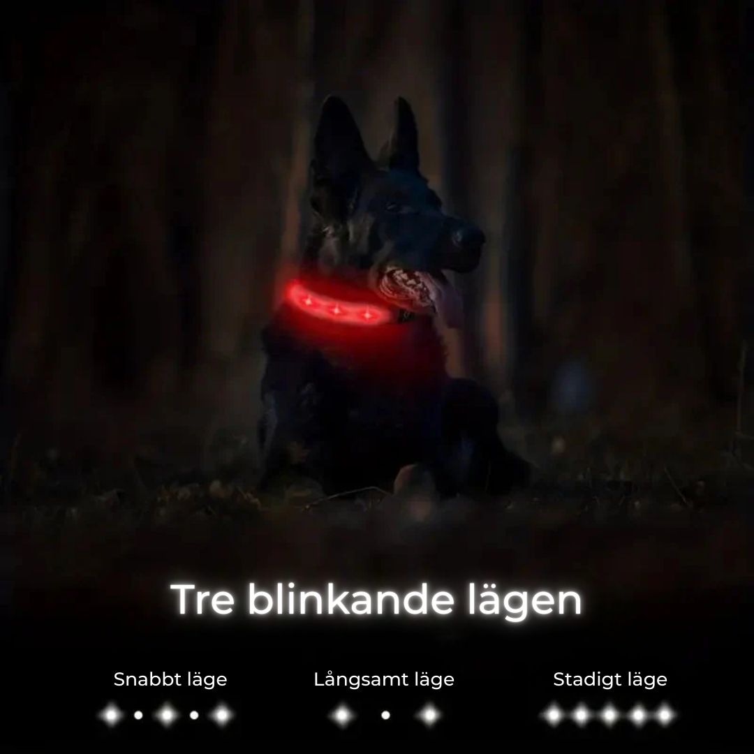 Lysande AirTag-halsband för Hund – Säkerhet och Synlighet i Mörker