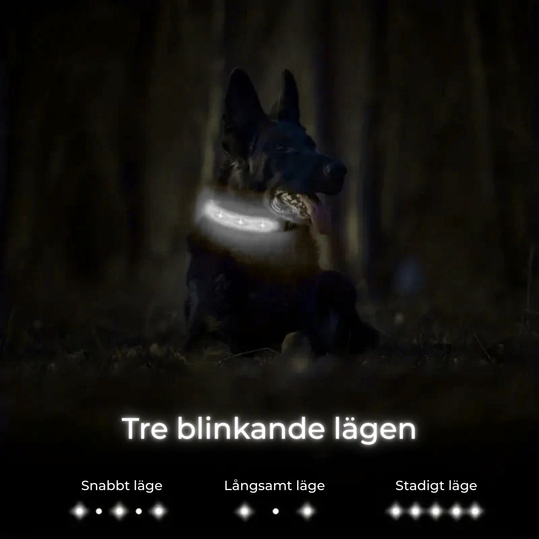 Lysande AirTag-halsband för Hund – Säkerhet och Synlighet i Mörker