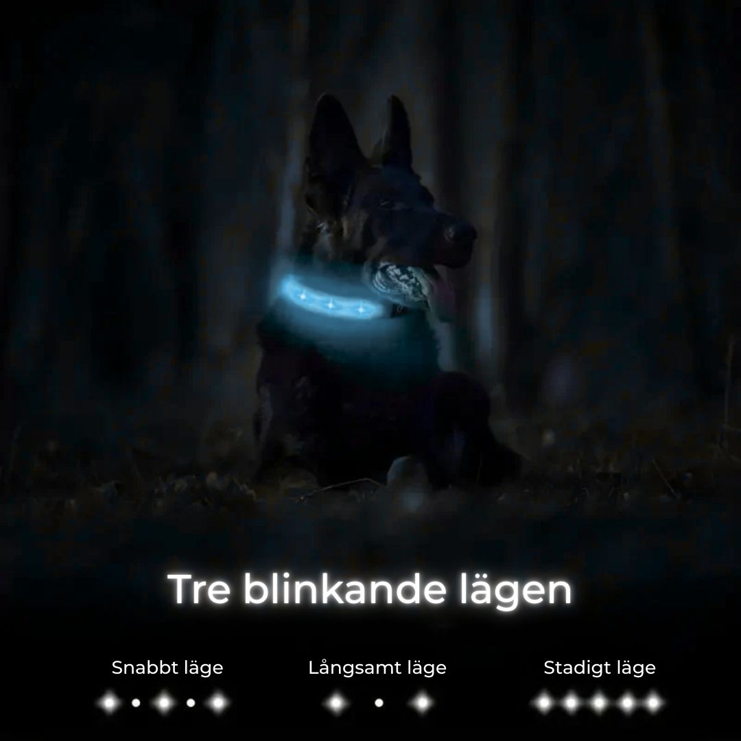 Lysande AirTag-halsband för Hund – Säkerhet och Synlighet i Mörker