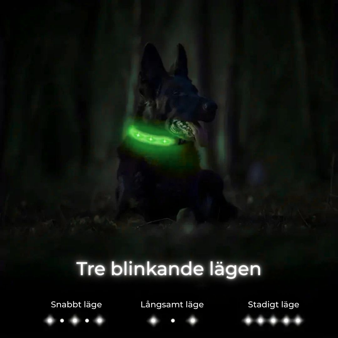 Lysande AirTag-halsband för Hund – Säkerhet och Synlighet i Mörker