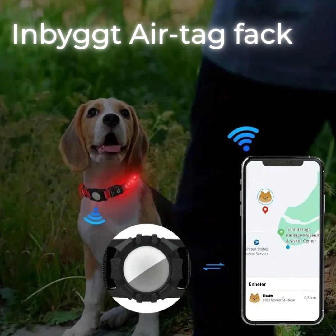Lysande AirTag-halsband för Hund – Säkerhet och Synlighet i Mörker