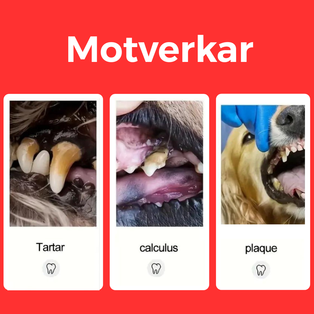 Tandstensskrapa 3 Set – Effektiv Tandvård Hemma för Hund & Katt