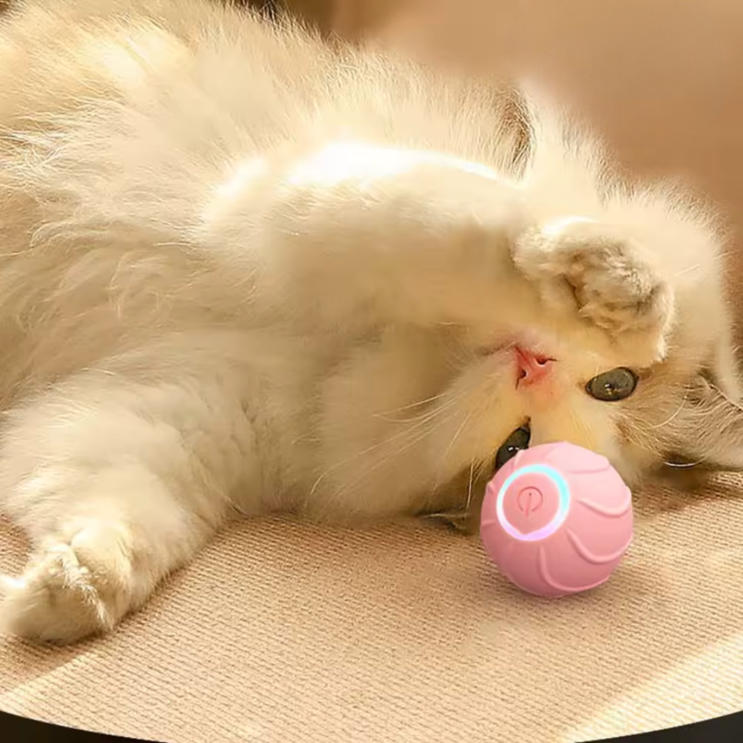 Elektrisk Rullande Kattleksak – Uppladdningsbar & Självstartande Boll