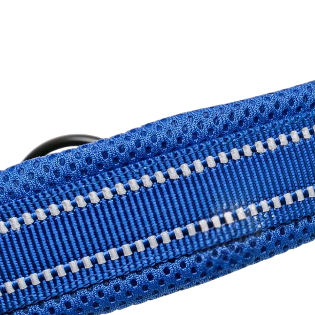 Justerbart Hundhalsband med Reflex – Bekvämt och Säkert för Alla Raser
