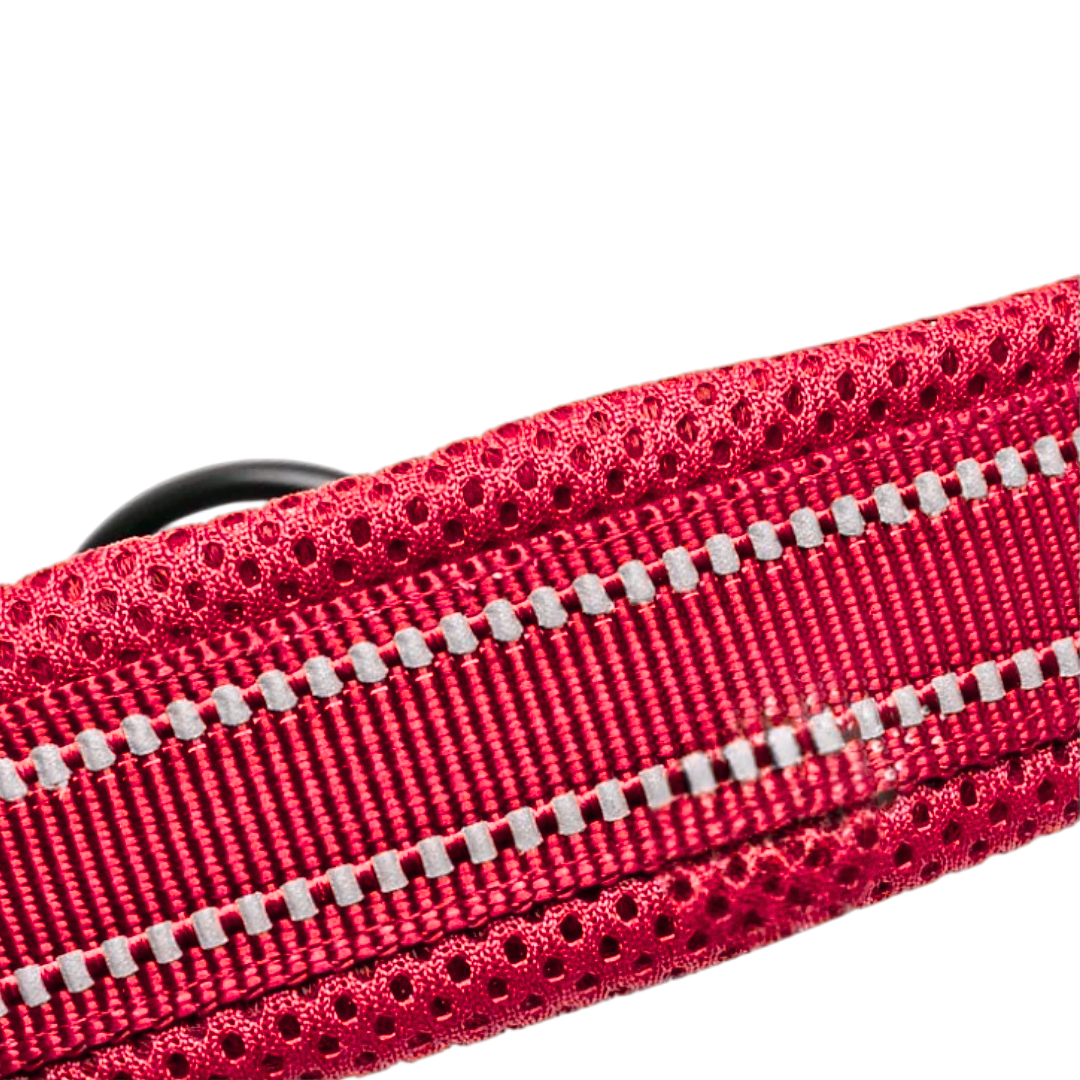 Justerbart Hundhalsband med Reflex – Bekvämt och Säkert för Alla Raser